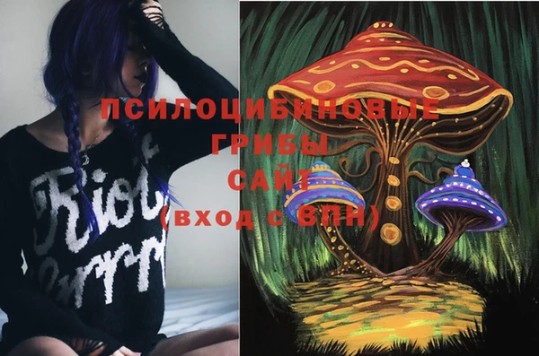 2c-b Алзамай