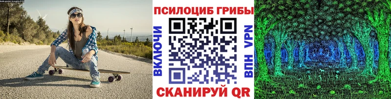 Галлюциногенные грибы Psilocybe  Жуков 